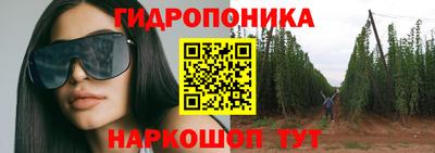 apvp Кандалакша