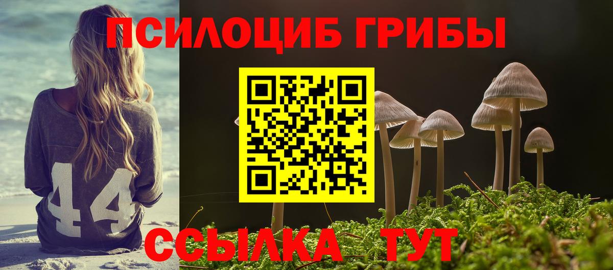 Иркутск  Галлюциногенные грибы мицелий  купить   Вход с VPN  Галлюциногенные грибы Psilocybine cubensis 
